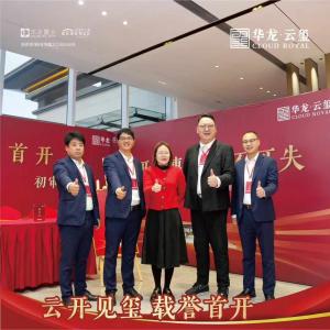 云开见玺 华美绽放 臻心以待 耀动原阳 ▰▰▰▰▰▰▰▰▰▰ #华龙·云玺今日首开
