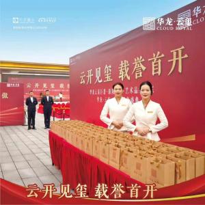 云开见玺 华美绽放 臻心以待 耀动原阳 ▰▰▰▰▰▰▰▰▰▰ #华龙·云玺今日首开